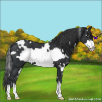 Horse Color:White Spotted Black Frame 