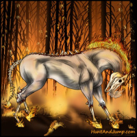 Horse Color:Gold Champagne Onyx