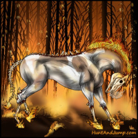 Horse Color:Classic Champagne Onyx Tobiano Rabicano