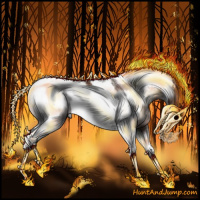 Horse Color:Gray Bay Onyx Tobiano Frame Rabicano