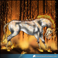 Horse Color:Gold Champagne Onyx Sabino Rabicano