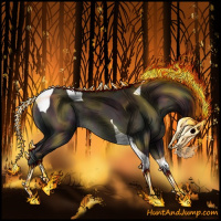 Horse Color:Midnight Classic Champagne Onyx Tobiano Rabicano 