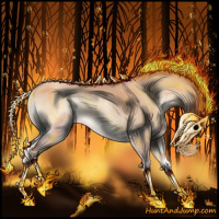 Horse Color:Gold Champagne Onyx Rabicano 