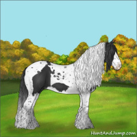Horse Color:Black Splash Tobiano 