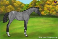 Horse Color:Blue Roan Tobiano Varnish 