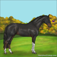 Horse Color:Liver Chestnut Tobiano 