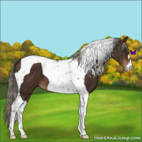 Horse Color:Liver Chestnut Tobiano 