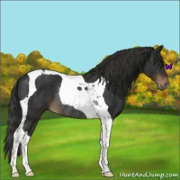 Horse Color:Liver Chestnut Tobiano Rabicano 