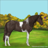 Horse Color:Liver Chestnut Tobiano 