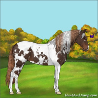 Horse Color:White Spotted Liver Chestnut Tobiano 