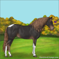 Horse Color:Liver Chestnut Tobiano 