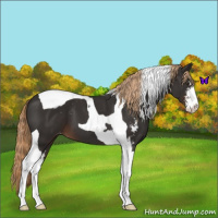 Horse Color:Liver Chestnut Sabino Tobiano Varnish 