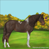 Horse Color:Liver Chestnut Tobiano