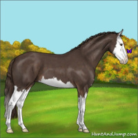 Horse Color:Liver Red Roan Sabino Splash 