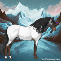 Horse Color:Liver Red Roan Near Fewspot 