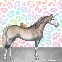 Horse Color:Silver Blue Onyx Chinchilla Rabicano