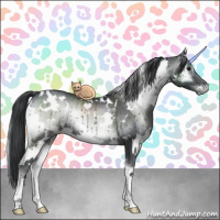 Horse Color:White Spotted Blue Onyx Chinchilla 