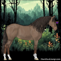 Horse Color:Liver Red Dun Varnish 