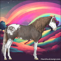 Horse Color:Liver Red Roan Splash Appaloosa 