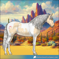 Horse Color:White Spotted Silver Buckskin Dun Tobiano 