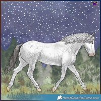 Horse Color:Liver Chestnut Sabino 