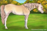 Horse Color:Watercolor Gold Cream Champagne Onyx 