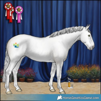 Horse Color:Gray Sable Champagne Dun Splash 