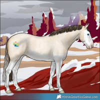 Horse Color:Amber Cream Champagne Roan Dun Splash 
