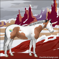 Horse Color:Bay Roan Splash Tobiano 