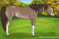 Horse Color:White Spotted Liver Red Dun 