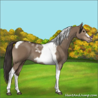 Horse Color:Liver Red Dun Tobiano Frame 
