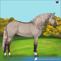 Horse Color:Liver Red Dun Mushroom Rabicano