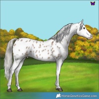 Horse Color:Liver Red Dun Mushroom Blanket 