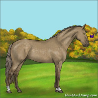 Horse Color:Chocolate Palomino Dun Mushroom Rabicano 