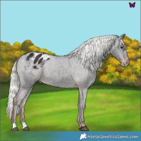 Horse Color:Liver Chestnut Mushroom Blanket 
