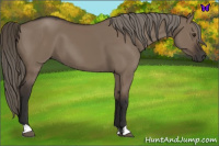 Horse Color:Liver Red Dun Mushroom 