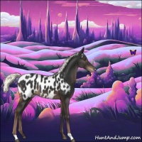 Horse Color:Liver Chestnut Mushroom Blanket 