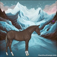 Horse Color:Liver Chestnut Mushroom 