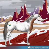 Horse Color:Bay Tobiano Frame 