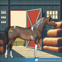 Horse Color:Brown Dun Tobiano 