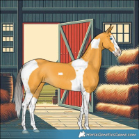 Horse Color:Buckskin Splash Tobiano 