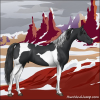 Horse Color:Black Tobiano 