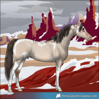 Horse Color:Bay Sabino  and Sable Champagne Dun Tobiano 