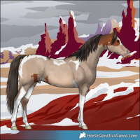 Horse Color:Bay Sabino  and Sable Champagne Dun Tobiano 