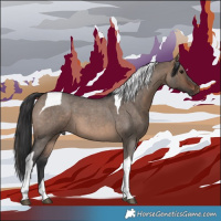Horse Color:Brown Roan Dun Tobiano 
