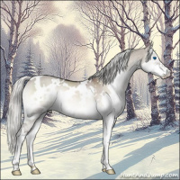 Horse Color:White Spotted Liver Red Dun Onyx Mushroom Splash Rabicano 