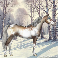 Horse Color:White Spotted Liver Red Onyx Mushroom Frame Rabicano 