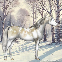 Horse Color:White Spotted Chocolate Palomino Dun Mushroom Splash Rabicano