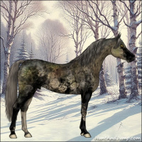 Horse Color:Void White Spotted Chocolate Palomino Mushroom