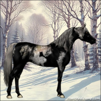 Horse Color:Void White Spotted Liver Chestnut Ice Mushroom Splash Tobiano 